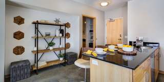 Student Housing - Solhaus Apartments & Tower Gallery 68