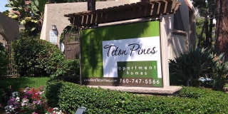 Teton Pines Gallery 1