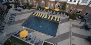 Avenue Madison Gallery 32