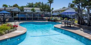 Driftwood Village Gallery 34