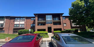 17 JULIET Lane Gallery 1