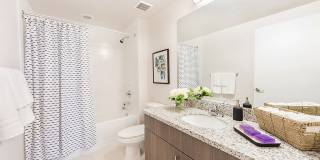 The Olivia Apartments Gallery 8