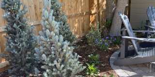5419 Pinon Valley Road Gallery 39