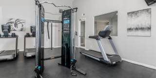 Palm Court Apartment Homes Gallery 8