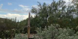 7420 East Wandering Road Gallery 4