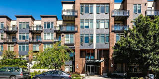 Latitude Latitude Gallery 2