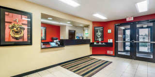 Tampa - North - USF - Attractions Gallery 11
