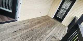 Timber Woods Gallery 12