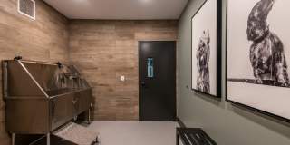 Maven on Broadway Gallery 13