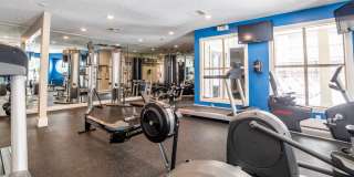 Altitude at Blue Ash Gallery 40