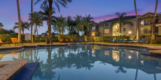 Coral Vista Gallery 25