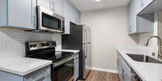 The Hazelwood Gallery 51