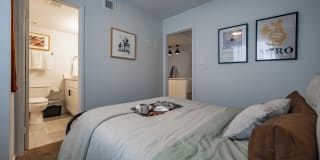 Polanco Apartments Gallery 10