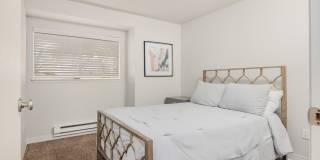 Desie Gallery 50