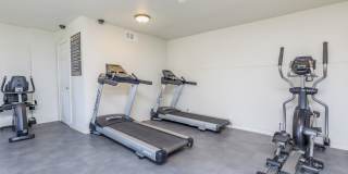 The Eddison Gallery 6