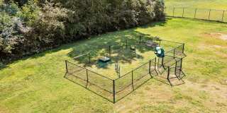 Rosen at North Hills Gallery 31