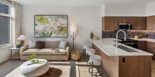 Broadstone Vega Gallery 20