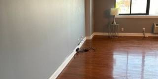 60 Parkway Dr Gallery 10