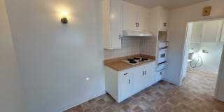 COMING SOON! Beautiful 3 Bed 2 Bath with 2 Car Garage, Laundry Room, and Storage Shed! Gallery 8