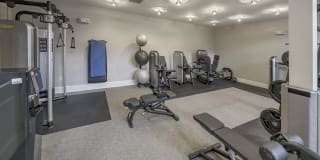 The Collection Gallery 41