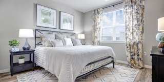 Linden at The Rim Linden at The Rim Gallery 8