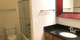 1601 SPRING GATE Drive Gallery 13