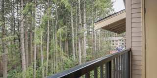 Kitts Corner Gallery 22