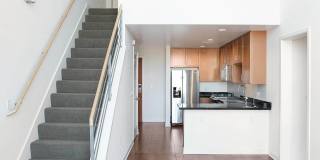 Edgewater Gallery 15