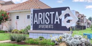 Arista Apartments Gallery 41