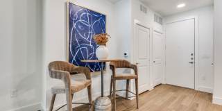 Aura Bella Gallery 10