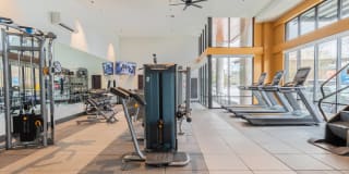Modera River Trail Gallery 23