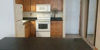 976 Robert Street - 105 Gallery 4