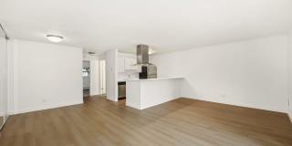 Driftwood Gallery 24