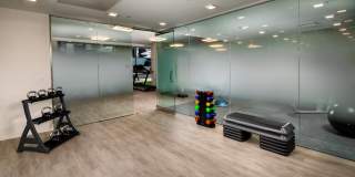 Trademark Gallery 20