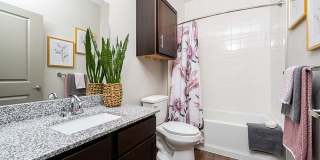 Alders Prosper- 55+ Active Adult Homes Alders Prosper- 55+ Active Adult Homes Gallery 10
