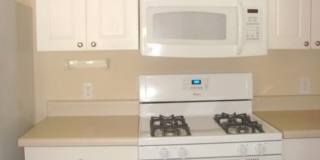 Great condo Gallery 4