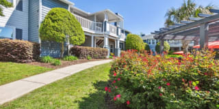 Palmetto Place Palmetto Place Gallery 6