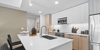 Aster & Links Gallery 114