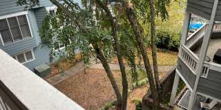 2 bed, 1 bath in Fourth Ward Gallery 24