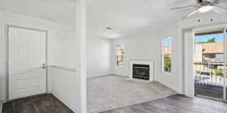 Desert Oasis Gallery 1