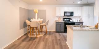 Palmera on 3009 Gallery 13