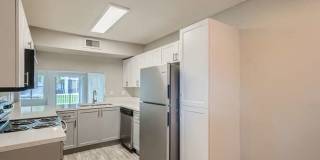 Spectra at Tamarac Gallery 15