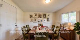 6715 Cotton Tail Ln Gallery 3