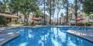 Country Woods Apartment Homes Country Woods Apartment Homes Gallery 1