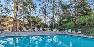 391 Mandarin Dr Gallery 4