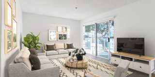 Ocean Club Gallery 1