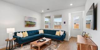 Katy Legacy Gallery 9