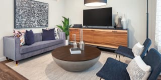 The Flats at River North Gallery 11