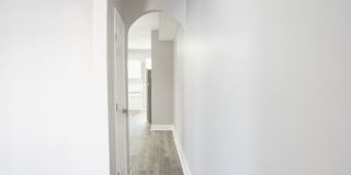 1237 Carroll St., 1 Gallery 4