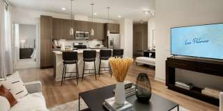 Las Palmas Gallery 12